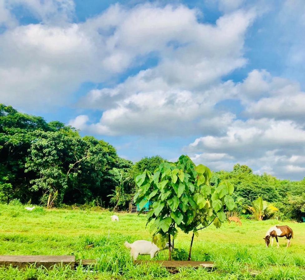 Apka Ecovillage Thrissur Exterior photo