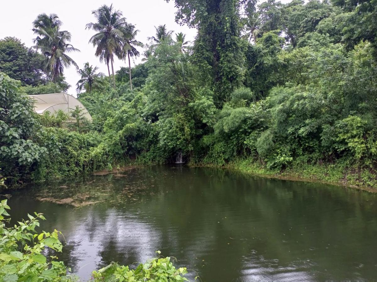 Apka Ecovillage Thrissur Exterior photo